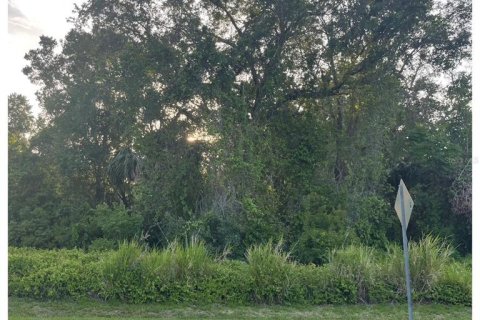 Terreno en venta en DeLand, Florida № 1778258 - foto 4