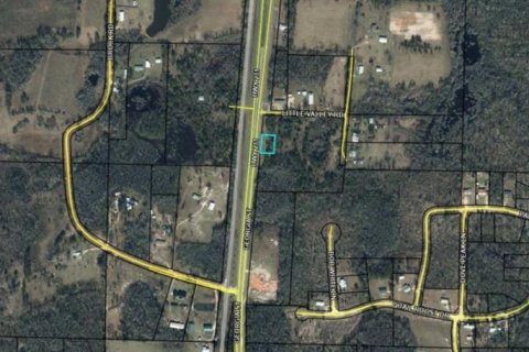 Land in Cottondale, Florida № 2163500 - photo 3