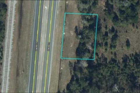 Land in Cottondale, Florida № 2163500 - photo 2