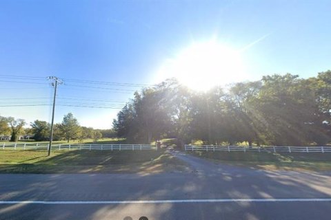 Land in Cottondale, Florida № 2163500 - photo 9