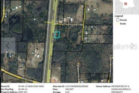 Land in Cottondale, Florida № 2163500 - photo 8