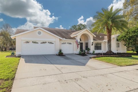 Casa en venta en Oldsmar, Florida, 4 dormitorios, 271.46 m2 № 2096746 - foto 17
