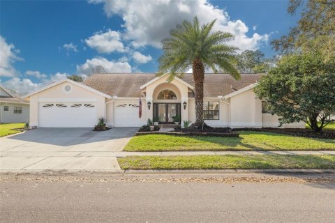 Casa en Oldsmar, Florida 4 dormitorios, 271.46 m2 № 2096746