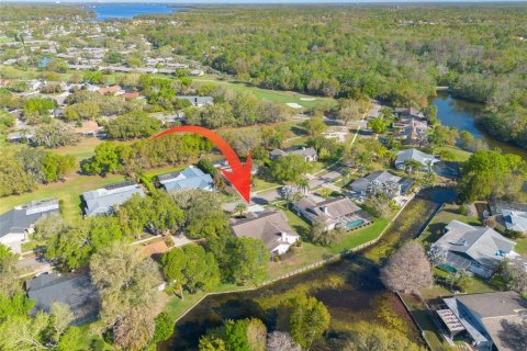 Casa en venta en Oldsmar, Florida, 4 dormitorios, 271.46 m2 № 2096746 - foto 30
