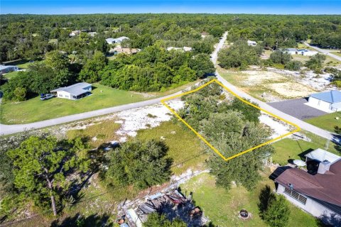 Land in Lake Placid, Florida № 2158795 - photo 2