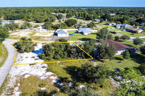 Land in Lake Placid, Florida № 2158795