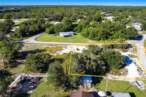 Land in Lake Placid, Florida № 2158795 - photo 3