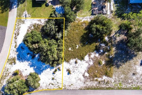 Land in Lake Placid, Florida № 2158795 - photo 6