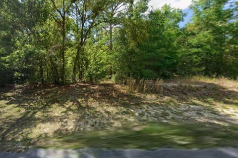 Land in Beverly Hills, Florida № 2107067 - photo 3