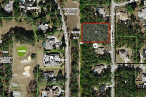 Land in Beverly Hills, Florida № 2107067 - photo 2