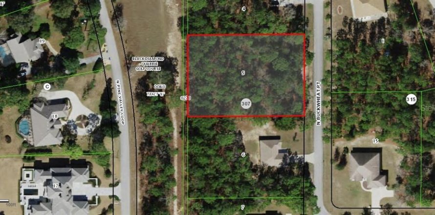 Land in Beverly Hills, Florida № 2107067