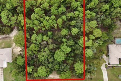 Land in Beverly Hills, Florida № 2107067 - photo 4