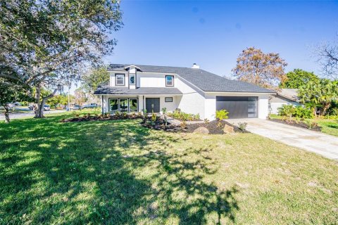 Villa ou maison à New Port Richey, Floride 4 chambres, 250.84 m2 № 2386156