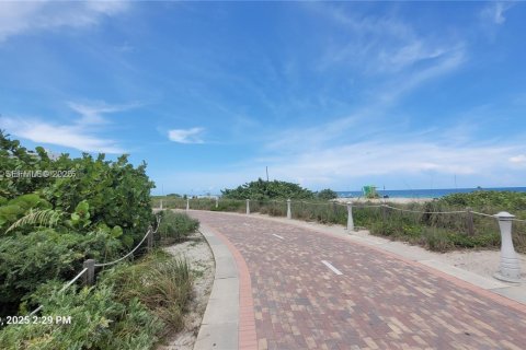 Снять в аренду виллу или дом в Майами-Бич, Флорида 18.58м2, № 1986774 - фото 1