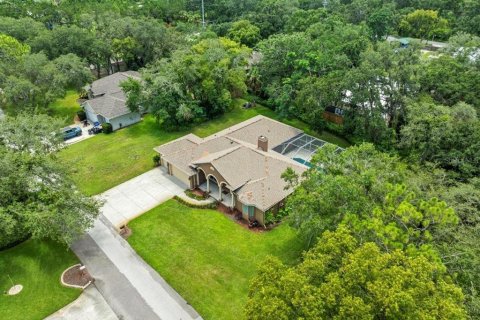 House in Lutz, Florida 5 bedrooms, 239.69 sq.m. № 1808469 - photo 3