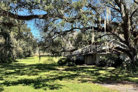 Land in Lakeland, Florida № 1832100 - photo 5
