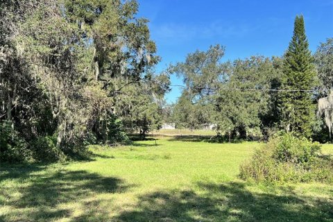 Land in Lakeland, Florida № 1832100 - photo 4