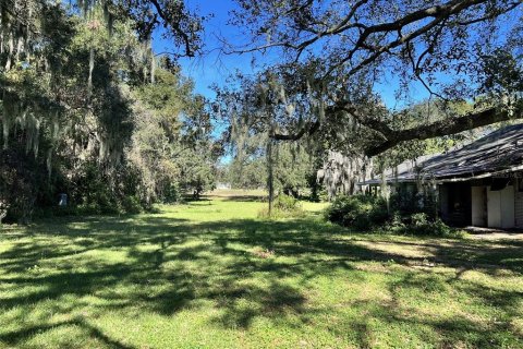 Land in Lakeland, Florida № 1832100 - photo 10