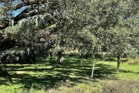 Land in Lakeland, Florida № 1832100 - photo 6