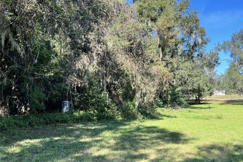 Land in Lakeland, Florida № 1832100 - photo 3