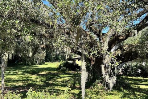 Land in Lakeland, Florida № 1832100 - photo 7