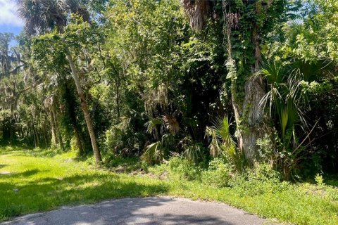 Land in Edgewater, Florida № 2231711 - photo 3