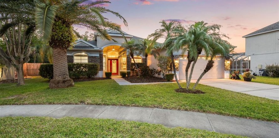 House in Wesley Chapel, Florida 4 bedrooms, 270.35 sq.m. № 1656782