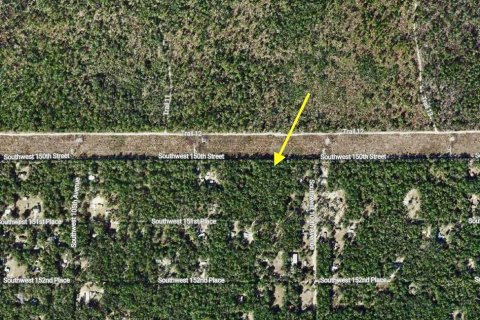Land in Dunnellon, Florida № 2218023 - photo 3