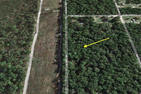 Land in Dunnellon, Florida № 2218023 - photo 5