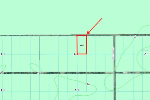 Land in Dunnellon, Florida № 2218023 - photo 7