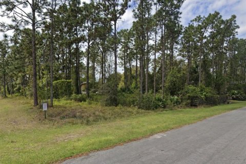 Land in Orlando, Florida № 2403571