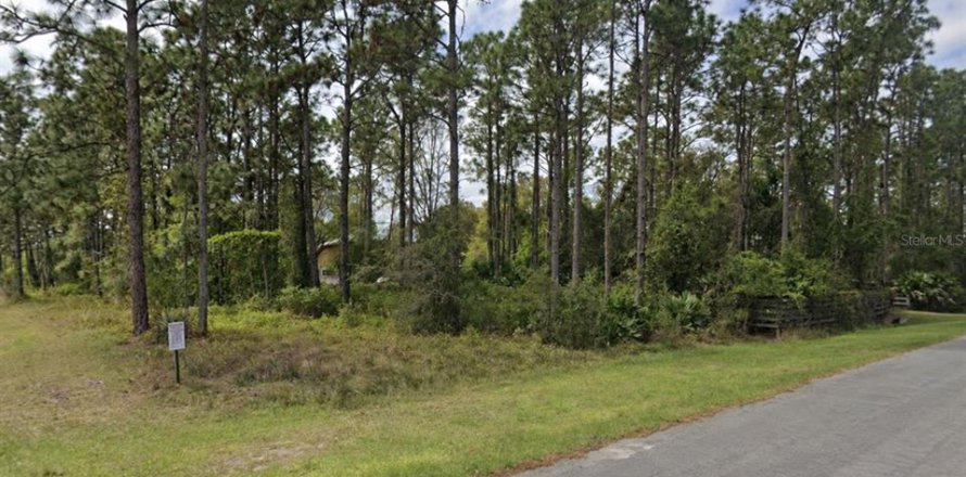Land in Orlando, Florida № 2403571