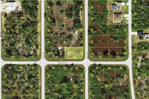 Land in Port Charlotte, Florida № 2165021