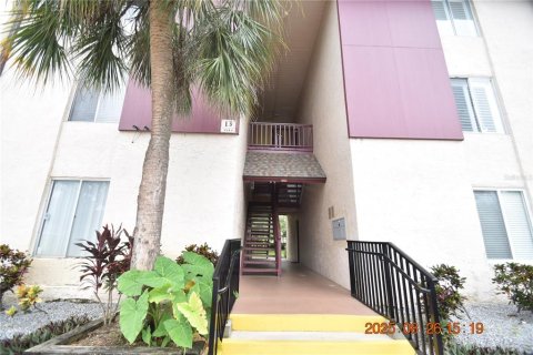 Studio in the Condo in Tampa, Florida № 1915586 - photo 7