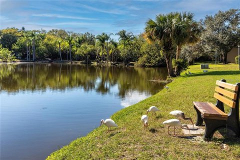 Condominio en alquiler en Clearwater, Florida, 1 dormitorio, 54.81 m2 № 1876754 - foto 24