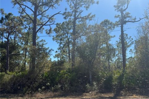 Land in Punta Gorda, Florida № 2161151