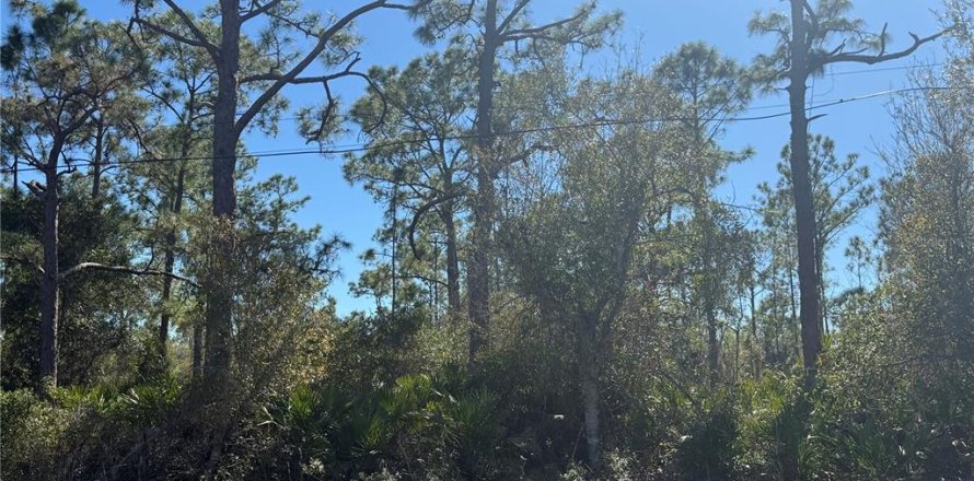 Land in Punta Gorda, Florida № 2161151