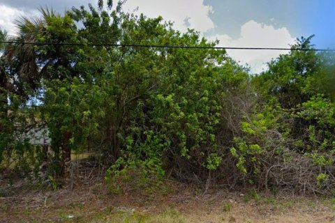 Land in Port Charlotte, Florida № 2213729