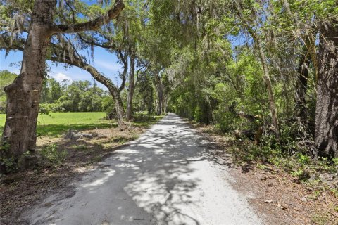 Villa ou maison à vendre à Newberry, Floride: 5 chambres, 323.21 m2 № 2277381 - photo 7
