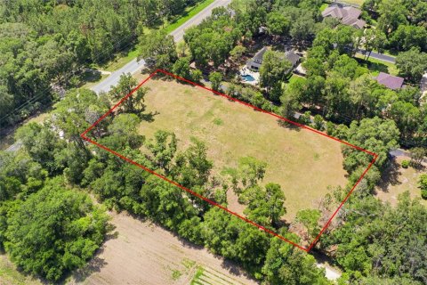 Villa ou maison à vendre à Newberry, Floride: 5 chambres, 323.21 m2 № 2277381 - photo 10