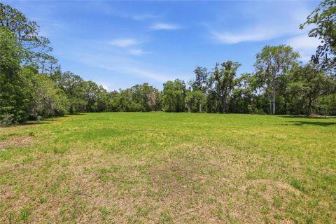 Villa ou maison à vendre à Newberry, Floride: 5 chambres, 323.21 m2 № 2277381 - photo 9