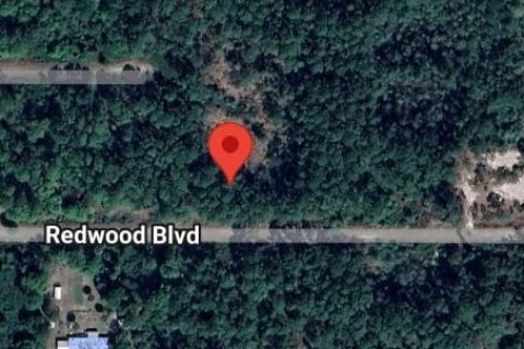 Land in Georgetown, Florida № 2161134 - photo 2
