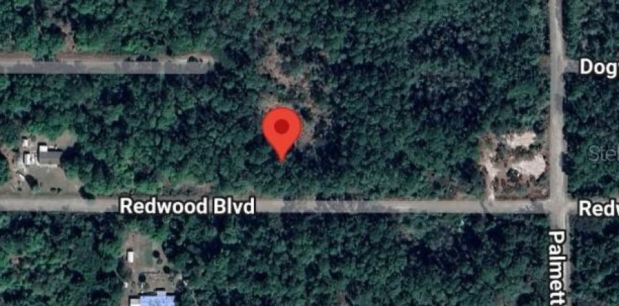 Land in Georgetown, Florida № 2161134