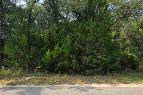Terrain à vendre à Interlachen, Floride № 2203889 - photo 2