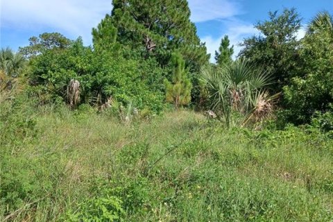 Terrain à vendre à Port Charlotte, Floride № 2298920 - photo 6
