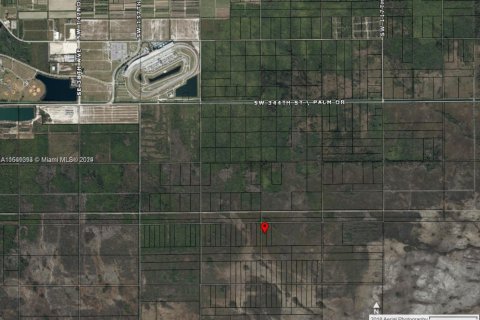 Immobilier commercial à vendre à Homestead, Floride № 1958785 - photo 1