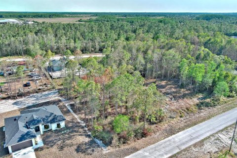 Terreno en venta en Lehigh Acres, Florida № 1864910 - foto 11