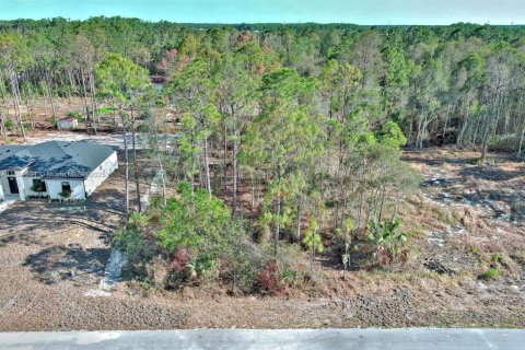 Terreno en venta en Lehigh Acres, Florida № 1864910 - foto 7