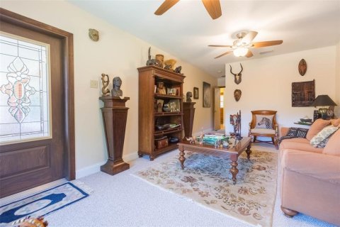 Villa ou maison à vendre à Dade City, Floride: 4 chambres, 518.21 m2 № 2296812 - photo 21