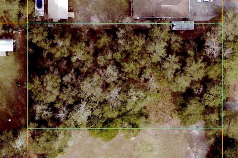 Terreno en Summerfield, Florida № 2195243